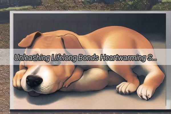 Unleashing Lifelong Bonds Heartwarming Stories of Dogs and Their Beloved Owners